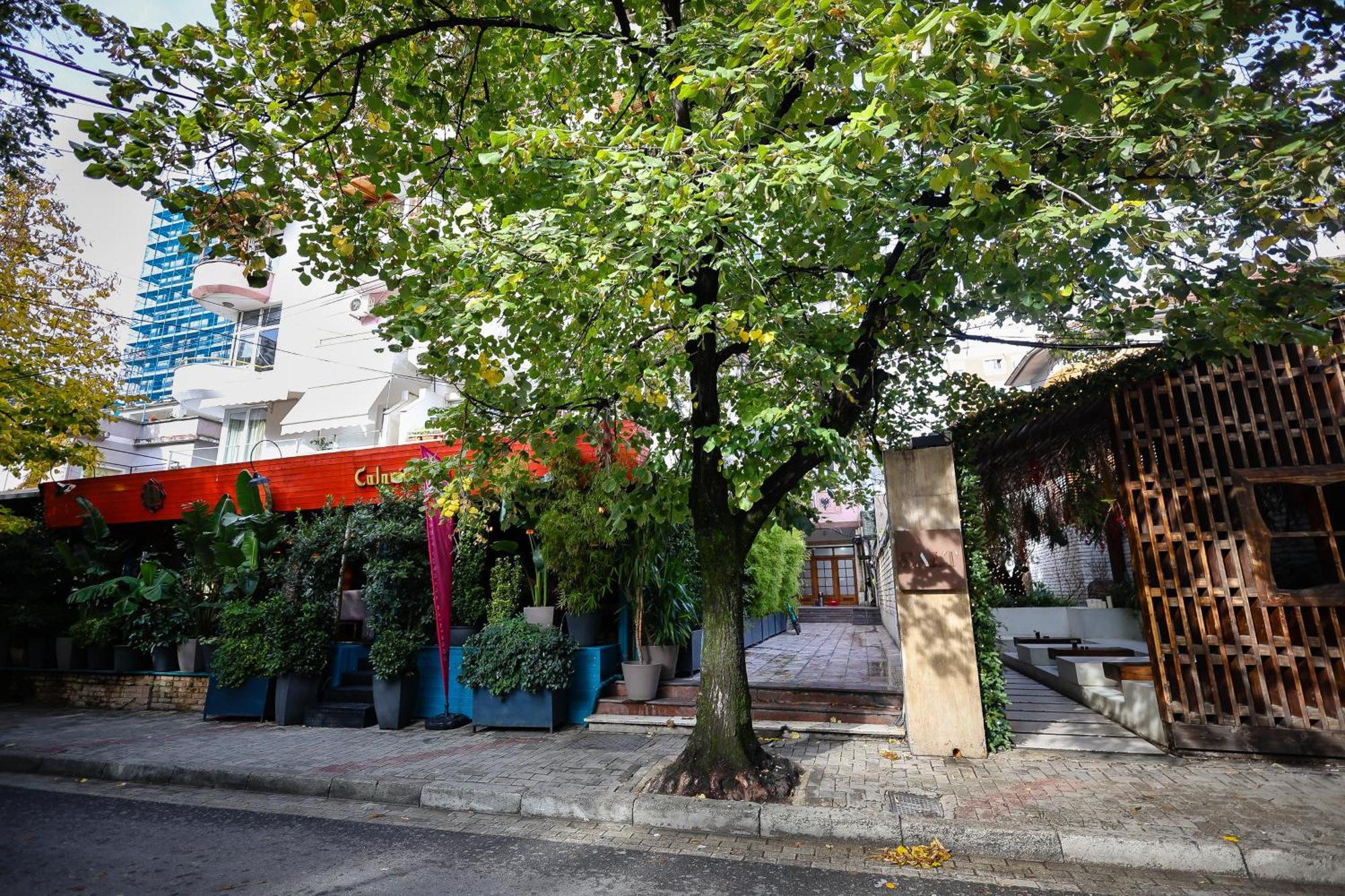 Noela's Place Apartament Tirana